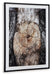 Freyburn Wall Art - LasVegasFurnitureOnline.com