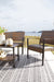 Zariyah Outdoor Love/Chairs/Table Set (Set of 4) - LasVegasFurnitureOnline.com