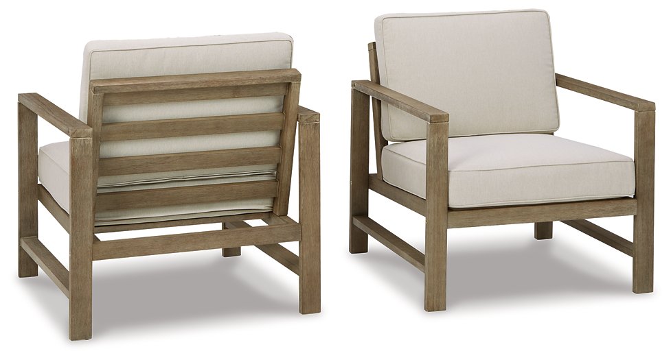 Fynnegan Lounge Chair with Cushion (Set of 2) image