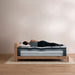 Beautyrest® Harmony Lux™ Coral Island 15.75" Plush Pillow Top Mattress - LasVegasFurnitureOnline.com