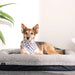 Bedgear Performance Dog Bed - LasVegasFurnitureOnline.com