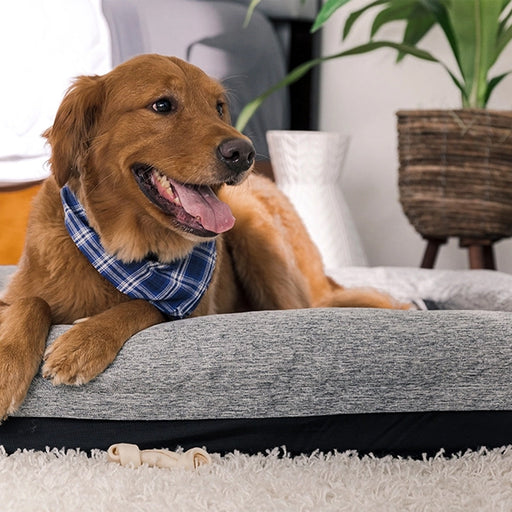 Bedgear Performance Dog Bed - LasVegasFurnitureOnline.com