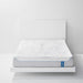 Bedgear S5 Performance Mattress - LasVegasFurnitureOnline.com